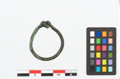 Foto von Bronzering (NHMW-PRAE-026637)